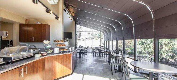 赛维尔维尔-鸽子谷凯艺套房酒店(Quality Inn & Suites Sevierville - Pigeon Forge)图片