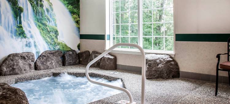 舒适套房酒店(Comfort Inn & Suites Sturbridge-Brimfield)图片