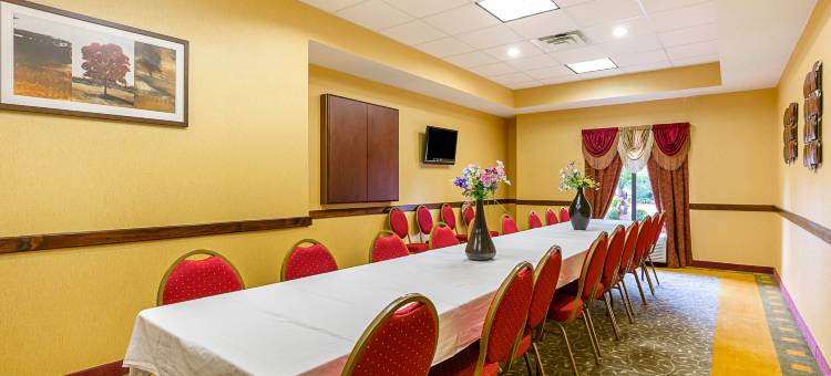 亚瑟港 - 内奇斯港舒适套房酒店(Comfort Inn & Suites Port Arthur-Port Neches)图片