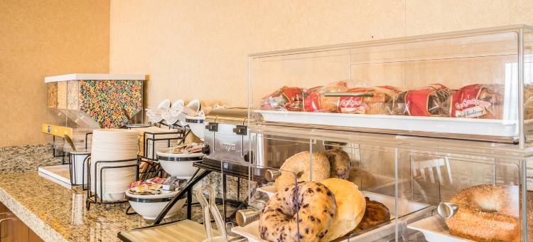 舒适套房酒店(Comfort Inn & Suites)图片