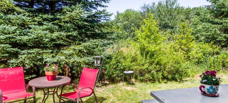 舒适酒店-埃尔斯沃思巴尔港(Comfort Inn Ellsworth - Bar Harbor)图片