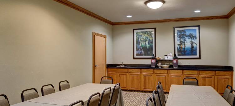 卡温顿-曼德维尔舒适套房酒店(Comfort Inn & Suites Covington - Mandeville)图片