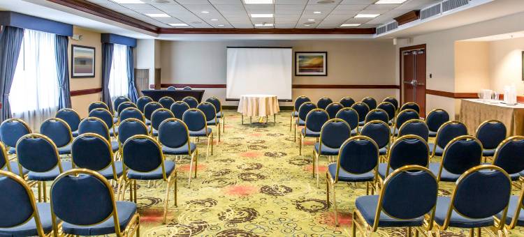 曼纳萨斯战场公园舒适套房酒店(Comfort Suites Manassas Battlefield Park)图片