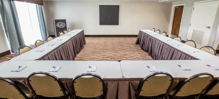 约翰逊城舒适套房酒店-近大学城(Comfort Suites Johnson City Near University)图片