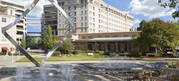 库佩蒂诺朱尼伯格芮希尔顿精选酒店(Juniper Hotel Cupertino, Curio Collection by Hilton)图片
