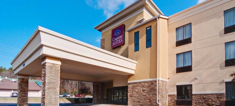 塞勒姆罗阿诺克I-81舒适套房酒店(Comfort Suites Salem-Roanoke I-81)图片