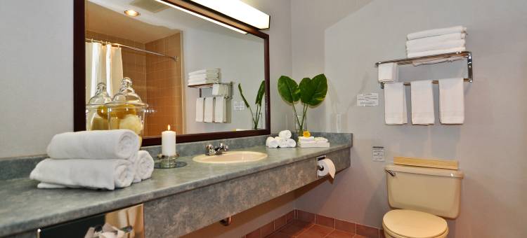 达尔豪西戴斯酒店及会议中心(Days Inn by Wyndham Dalhousie)图片