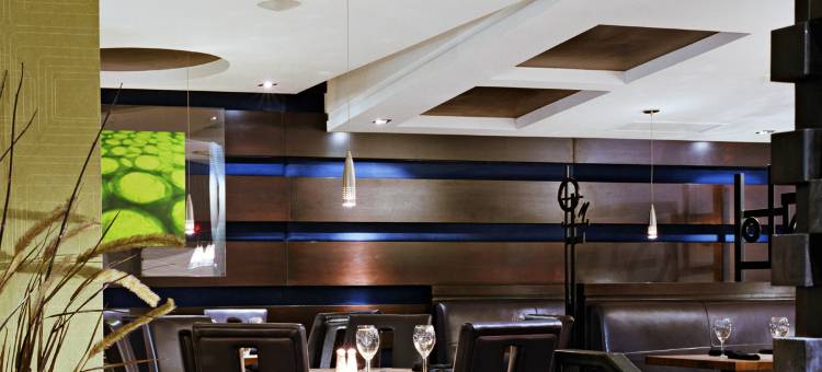 戴维桑德曼套房酒店(Sandman Suites Vancouver on Davie)图片