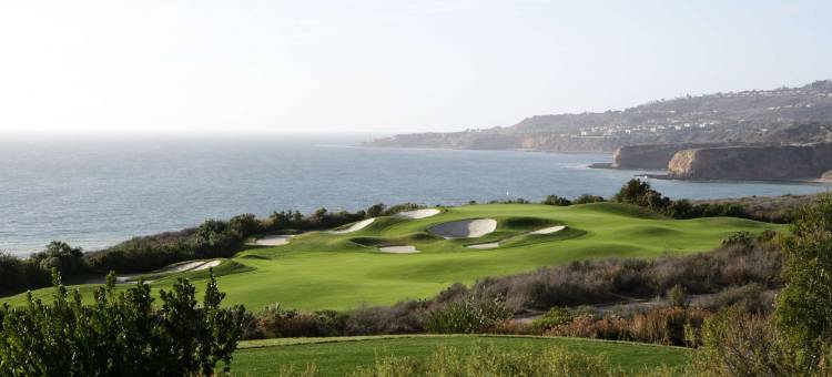 都Hybrid酒店Torrance(Miyako Hybrid Hotel Torrance)图片