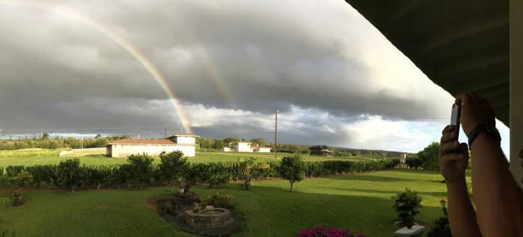 夏威夷民宿，海景湾希洛(Hawaii, Ocean View Hilo Bay)图片