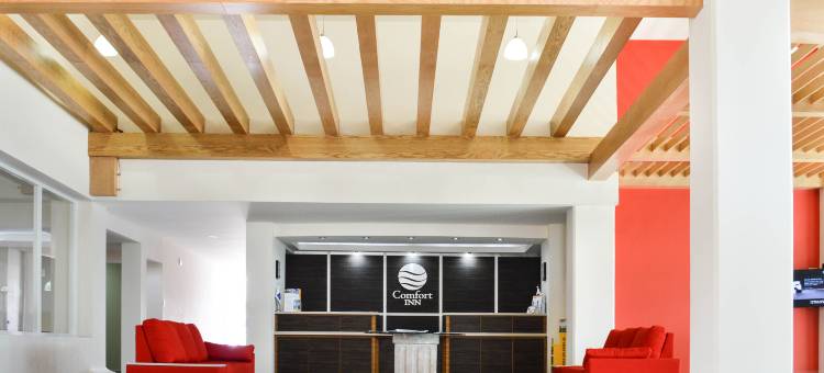 舒适酒店-奎雷塔罗(Hotel BeWow Querétaro)图片