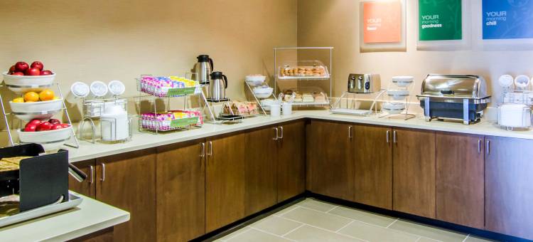 林奇堡机场-大学区舒适套房酒店(Comfort Inn & Suites Lynchburg Airport - University Area)图片