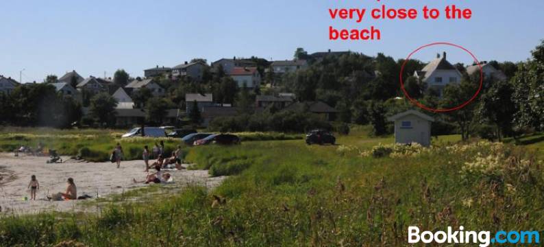 北极花园旅馆(Arctic Garden)图片