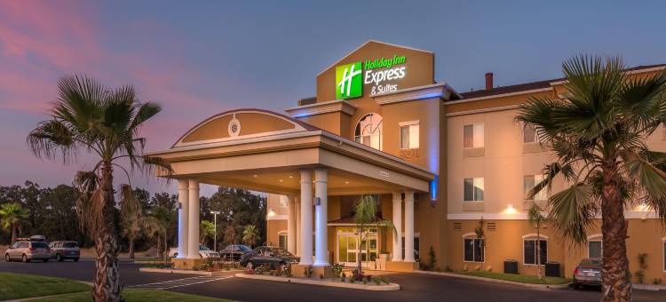 智选假日套房酒店雷德布拉夫(Holiday Inn Express & Suites Red Bluff-South Redding Area)图片