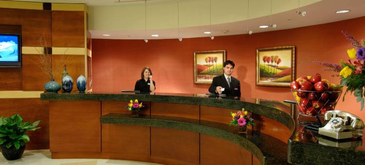 杜勒斯机场 SpringHill Suites 万豪酒店(SpringHill Suites Dulles Airport)图片