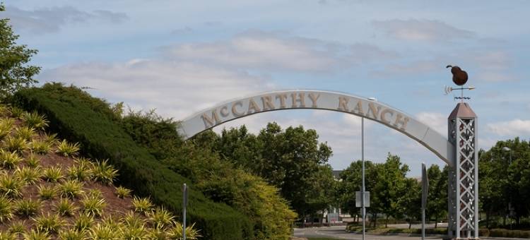 圣何塞/米尔皮塔斯希尔顿花园假日酒店(Hilton Garden Inn San Jose/Milpitas)图片