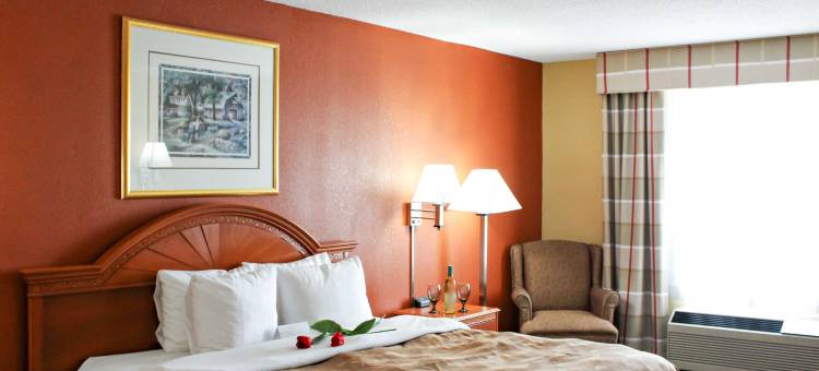 凯艺套房酒店-辛辛那提沙伦维尔(Quality Inn & Suites Cincinnati Sharonville)图片