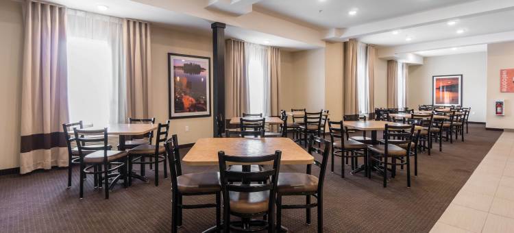 舒适套房酒店(Comfort Inn & Suites)图片