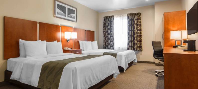 硅谷凯艺酒店(Quality Inn San Jose Airport-Silicon Valley)图片