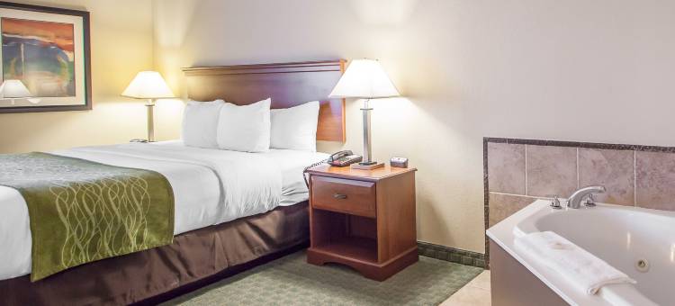 塔斯坎比亚-马斯尔肖尔斯舒适套房酒店(Comfort Inn and Suites - Tuscumbia/Muscle Shoals)图片