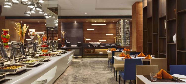 温德姆华美达广场酒店-JHV菠罗奈斯(Ramada Plaza by Wyndham JHV Varanasi)图片