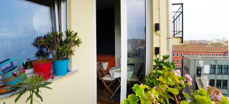 不超过七天住宿加早餐旅馆(Up to Seven)图片