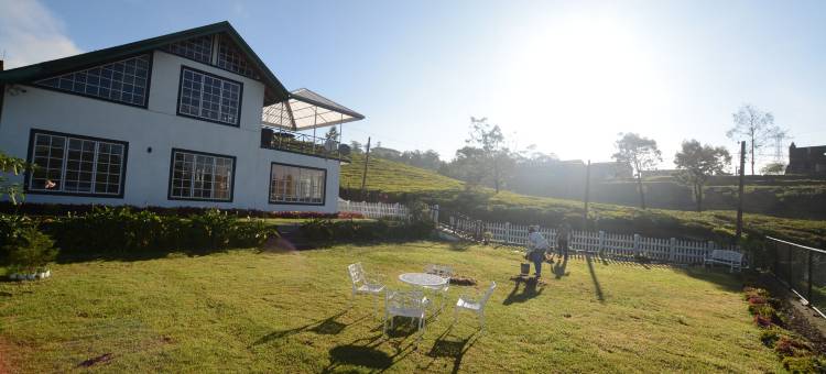 茶园酒店(The Tea Garden)图片