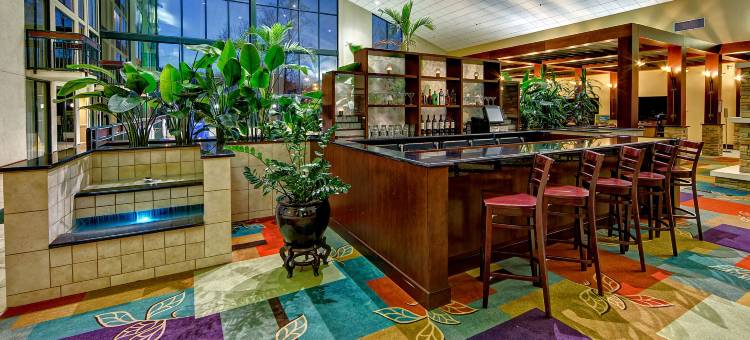 Holiday Inn 阿什维尔 - 比尔特莫尔西(Holiday Inn Asheville - Biltmore West)图片