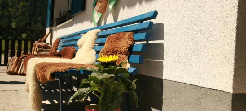 雪绒花公寓(Das Edelweiss)图片