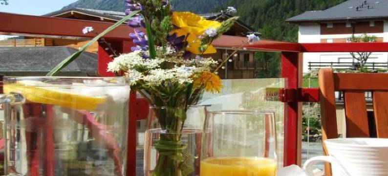 Apartment le Grand Combins Champex Lac图片