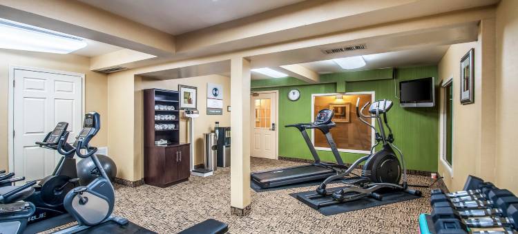 利斯堡凯隆酒店及会议中心(Clarion Hotel & Conference Center Leesburg)图片