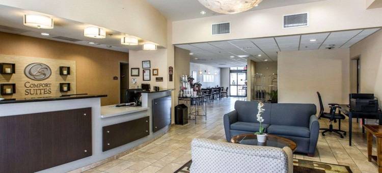 洛杉矶工业城附近舒适套房酒店(Comfort Suites Near City of Industry - Los Angeles)图片