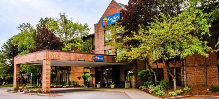 Wingate by Wyndham Livonia图片