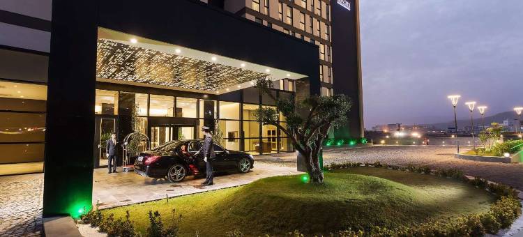 杰德曼齐兹勒(Dedeman Cizre Hotel)图片