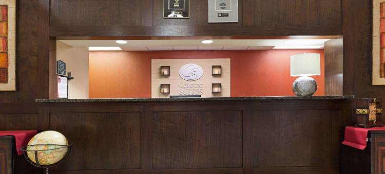 迪尔帕克帕萨迪纳舒适全套房酒店(Comfort Suites Deer Park Pasadena)图片