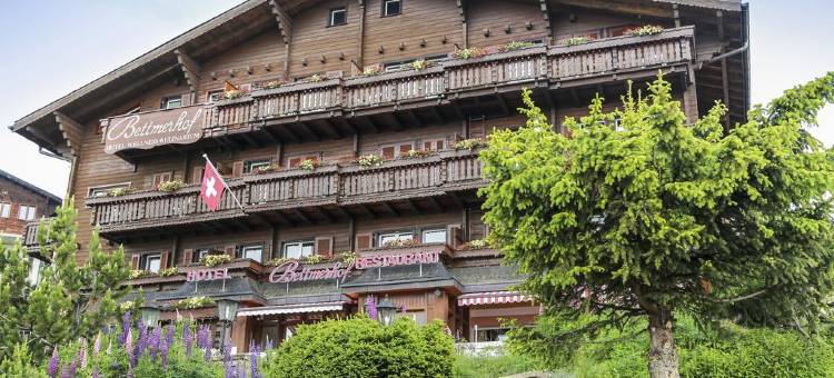 布雷默霍夫木屋酒店(Hotel Bettmerhof)图片