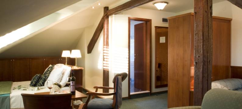 维利纳别墅(Villa Vilina Hotel Dubrovnik)图片