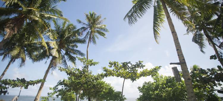布拉沃海滩度假村(Bravo Beach Resort)图片