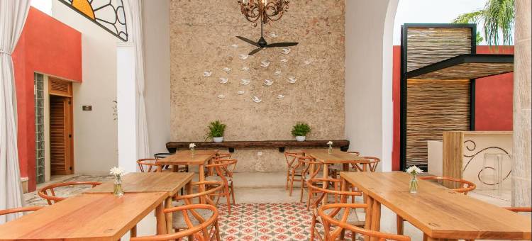 塞尔科泰尔卡萨德拉斯帕洛马斯酒店(Casa de Las Palomas Boutique Hotel by Paloma's Hotels - Adults Only)图片