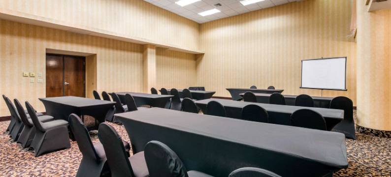 塔彭斯普林斯南凯艺套房酒店(Quality Inn & Suites Tarpon Springs South)图片