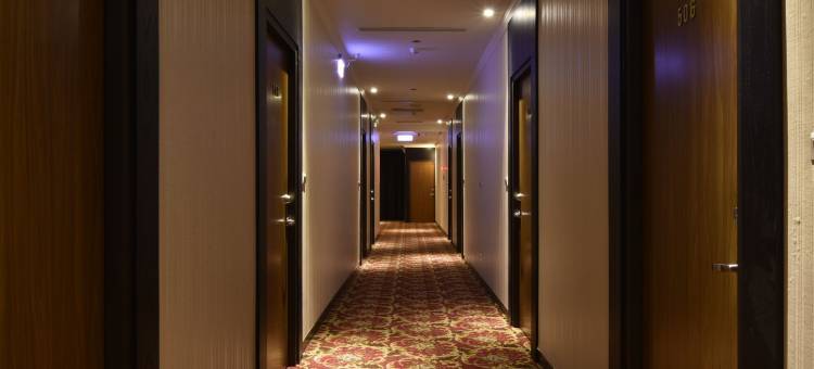 桃园中正美学饭店图片