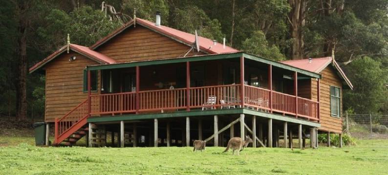 沃波尔荒野山林小屋(Walpole Wilderness Resort)图片