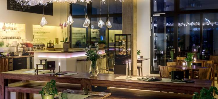 Numa Berlin Boxer图片