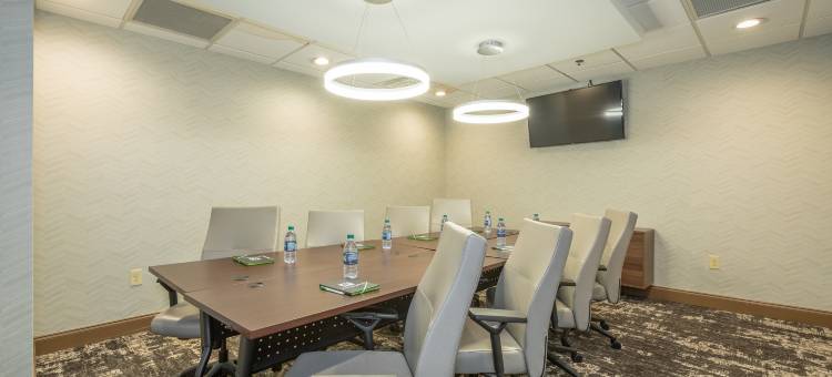 Holiday Inn & Suites 桃树市(Holiday Inn & Suites Peachtree City)图片