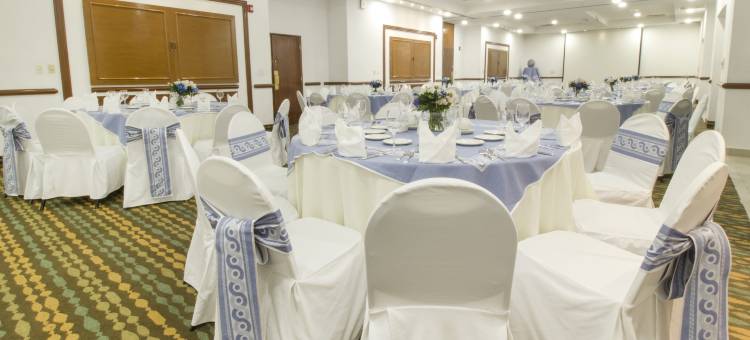 Holiday Inn 普埃布拉拉诺里亚(Holiday Inn Puebla la Noria)图片