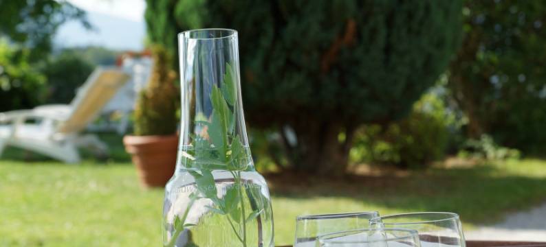 舒尔格活力养生酒店(Vital & Gesundheitshotel Schuerger)图片