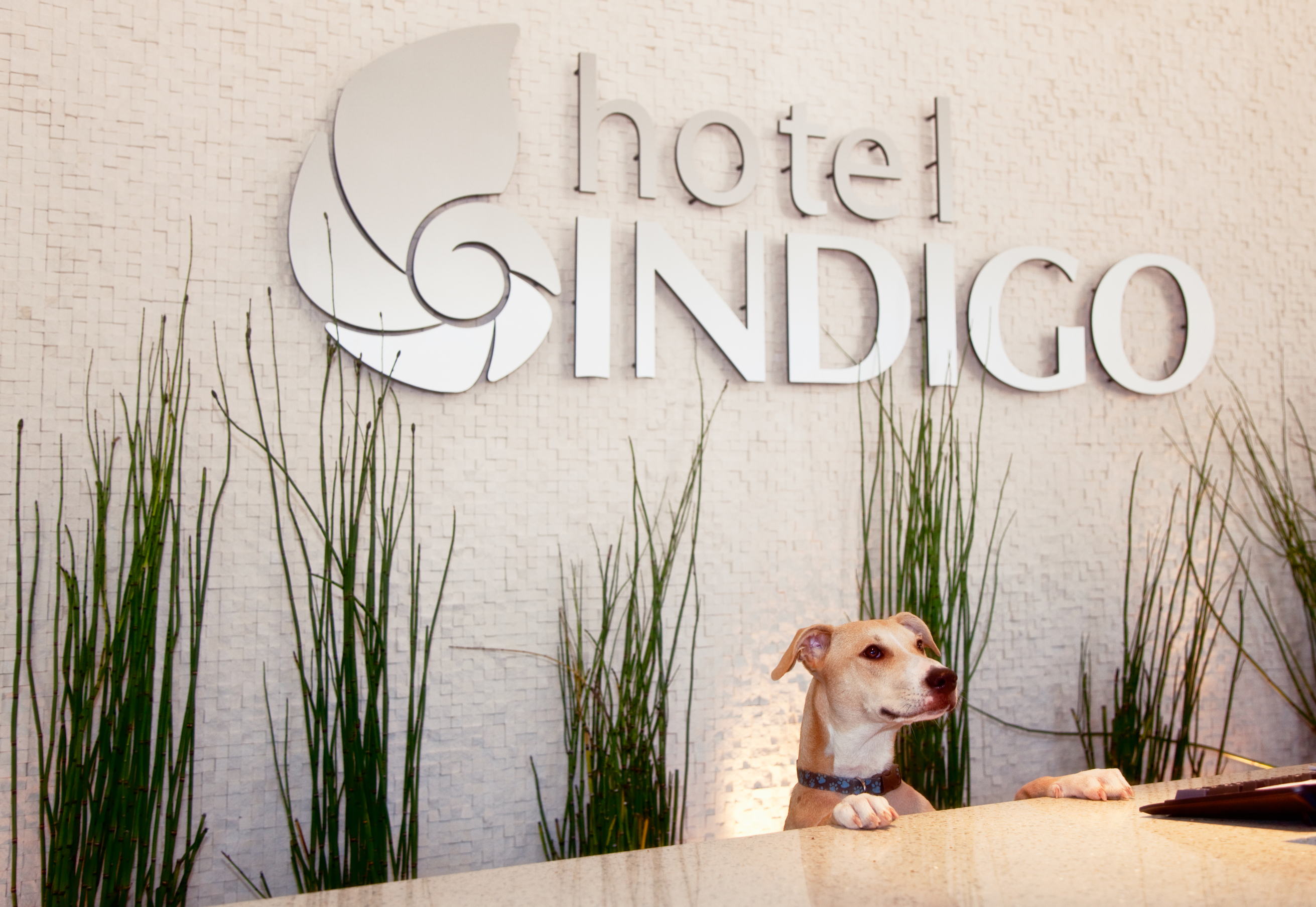 Hotel Indigo SAN DIEGO-GASLAMP QUARTER by IHGOver view