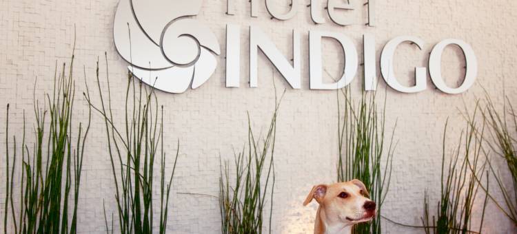 Hotel Indigo 圣迭戈瓦斯灯区(Hotel Indigo San Diego-Gaslamp Quarter)图片