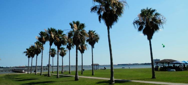 休斯顿-NASA克利尔莱克索尼斯塔简单套房酒店(Sonesta Simply Suites Houston – NASA Clear Lake)图片