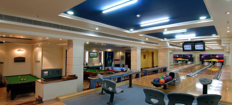 杰皮宫酒店&国际会议中心(Jaypee Palace Hotel)图片